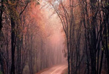 [足球之夜]中国国家男子足球队：竞争和野心.