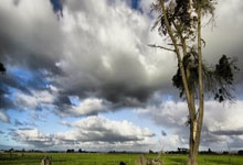 亿万28：全力以赴！苏翊鸣首次参加世锦赛摘银央视新闻客户端.