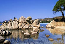 备战新赛季 浙江男篮签约美籍球员帕里斯·巴斯.